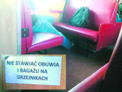 d585eb20-81eb-4424-acb0-cf1357a15ad2