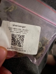 f2f906aa-27b2-4e8a-9433-c0c585806945