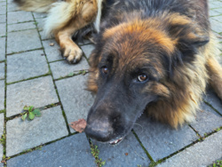 2206dc89-649c-4590-bdb0-a7b325331222