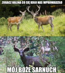 1ee73459-1662-4a22-bca3-06816379dcd3