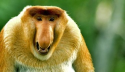 78767bfb-6a44-4eec-b508-f80c45365465