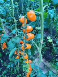 231cdb96-86d9-4f4d-83d7-6cc952afa8fb