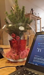 cb29b195-f1c4-428c-82e2-db0283395042