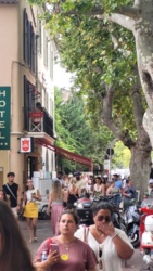 517ac7e3-c589-4335-be4d-c4253f9aa95d