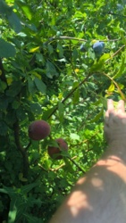 2afeab7b-2aa9-4aba-9475-b92573ff3f23