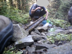 25610497-0c0b-43bd-b0b2-4cd28807c0f7