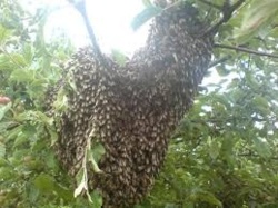 57b1f3c4-dabd-44ee-8fab-c591d1885bbe