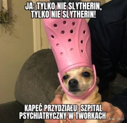 672d74c4-1c1d-4ad2-8d24-1cca4e1d42bb