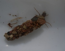 9e4af9cd-b6c0-482f-baf5-533e49c7078c