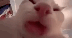 aa94f2e2-bd09-456c-b7f2-94a1614492f9