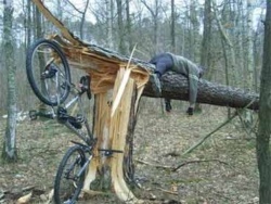 6fa089b0-94b4-41e4-93a9-205bfee05a32