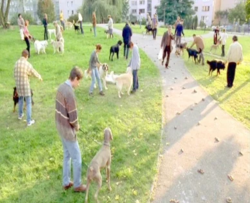 a14fe916-0d1d-475f-9e91-a24a38a38ee8