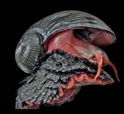 896a52fe-7f2d-42cc-809b-f7a9a31526cd