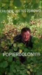 66cac1d8-f1bb-4ae5-a339-a15dfe300bd3