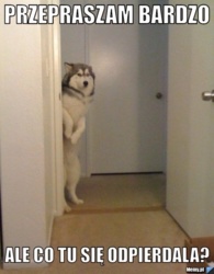 6af18873-3152-4eef-b950-093f38350aef