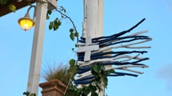 ece78c76-1090-4de8-a646-b534cfdd5342