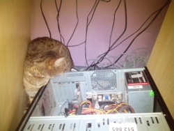 02ccefc2-6ce7-4b2c-819f-67b608022874