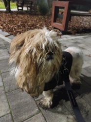 75dd8b92-12a2-41b9-b7cb-035c902ea153