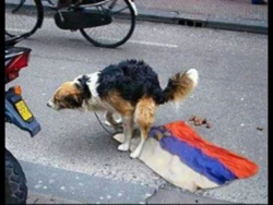 a6e93160-e456-4bd5-a031-4a7e914df317