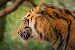 cdd3979f-76a1-4c34-afb1-1163b08ec79a