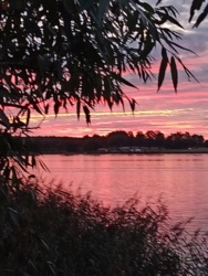 69904545-616e-4255-9e30-640657214412