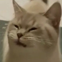 fedd4e8f-e841-4856-978b-df231993ddd6