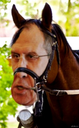 43d4769a-8ea3-463a-9ebf-a0a59a5a9a41