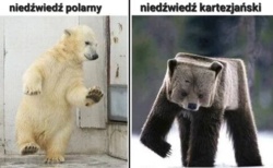 6c1eee90-999b-4ae1-8605-b28b4f3bb2c1