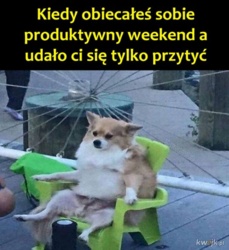 65896dfc-1713-4dd2-9706-a5869046a39b