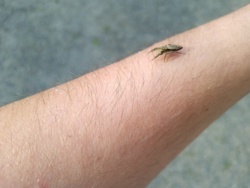 b68b3635-b634-40a8-99b0-47a61f2674d3