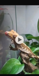 8be4f163-8f19-4d70-b098-1eea3ca3912b