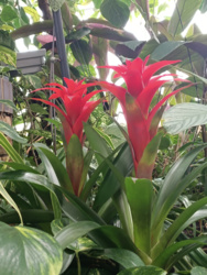 f91b4746-9492-4d82-8f88-ab1e847cbbc4