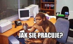 c9e7b77d-192e-4629-b8f5-1ea4d505ee4b