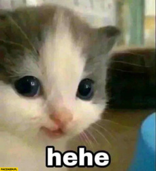 b9bc96f9-39de-4a24-91bc-e7b8f1d86f9c