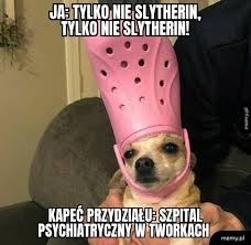 d5d90d3c-c12d-44df-b9f2-3da51d7ba5da