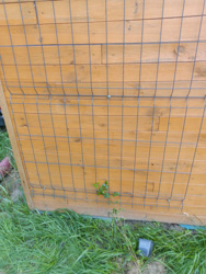 bb70af98-04a2-4a07-b7d7-c4b330d67266