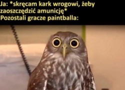 03982a30-cc66-42a6-898f-cfdbdc295a62