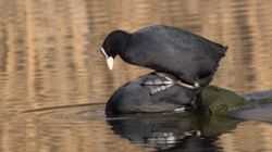 21bbe5ac-96bb-476b-875e-5eeb47fe8ff0