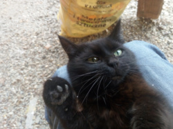 0c490d1b-278c-4bea-94b3-72b1320255fc