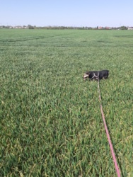 a1241899-7533-4eb8-81eb-902518befbee