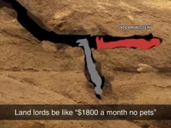 59b22dac-893e-4552-ab6c-29c9684227ce