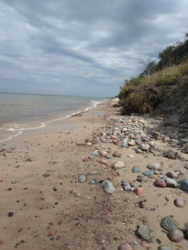 463e3c89-50a6-4ca6-b77d-fd5e63e3725f