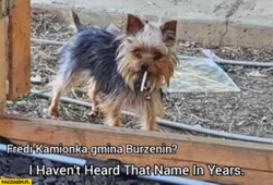 946ae981-dd69-4e37-8d5f-13c7c57bd4d0