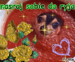 b3d337ea-1db3-4b35-bffb-a0715289cc10