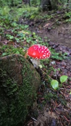 b1fee3c3-f34f-4544-b80a-77783720724f