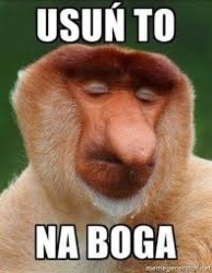 670d7437-18a6-439e-b308-793ae2d33c75