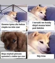 6efd22c9-574f-4574-b885-3e528cd22703