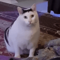 461940b4-555f-477e-ad02-e8d79fc08a3d