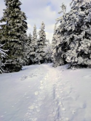 9f78c678-9623-439a-864a-eb0f560507e0