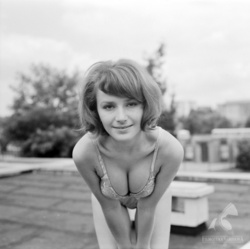 e3aa9ff6-6919-4cb5-9e95-57e185bdc5b3